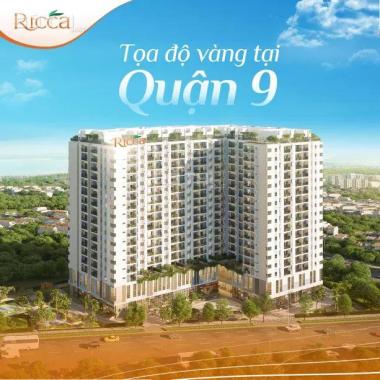 30 căn Ricca đẹp nhất dự án 1 - 3PN, view đẹp, có sân vườn, giao nhà hoàn thiện