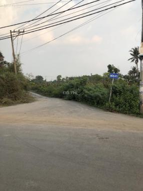 Bán đất biệt thự vườn phường Long Phước, Quận 9 diện tích 2028 mét vuông