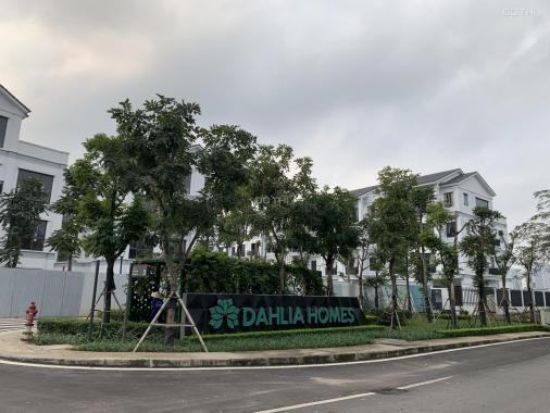 CĐT Gamuda mở bán lô cuối cùng ST5-Dahlia Homes, chiết khấu 13%. LH 0962 686 500