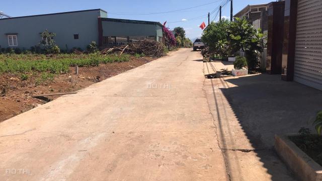 Chính chủ cần bán lô đất nông nghiệp, DT 536m2 tại Bảo Lộc, Lâm Đồng