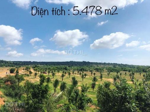 Gia đình cần bán gấp lô đất 5478m2 ven biển, P. Hàm Tiến, Phan Thiết, Bình Thuận, 7.9 tr/m2