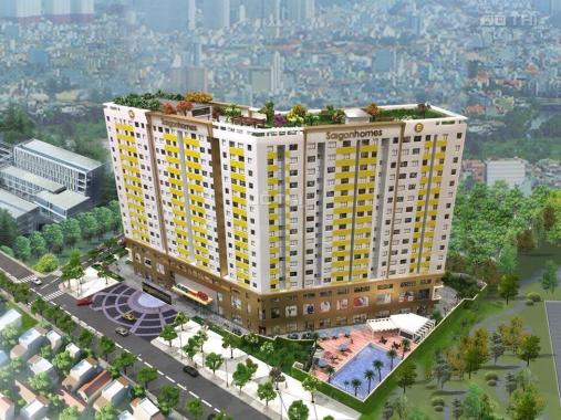 Cần cho thuê CH Saigonhomes 1PN, 2PN, 3PN giá chỉ từ 6 triệu/tháng, LH 0908 905 908