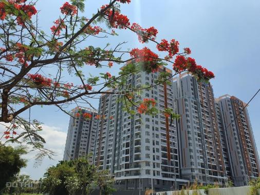 Bán căn hộ Safira Khang Điền, giỏ hàng tốt nhất thị trường CH 1PN, 2PN, 3PN, duplex. LH 0798862800