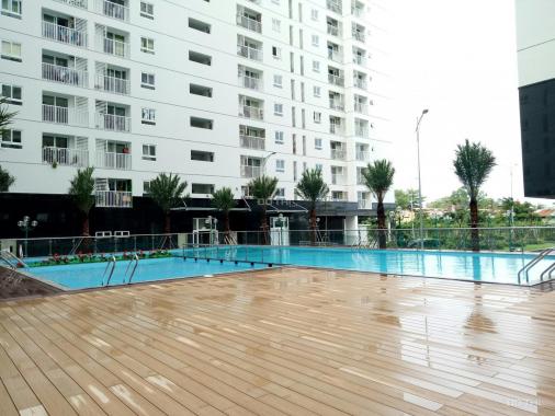 Bán căn hộ 56m2 1PN Tara Residence 1A Tạ Quang Bửu P6 Q8 gần BX Q8, view hồ bơi, tặng nội thất