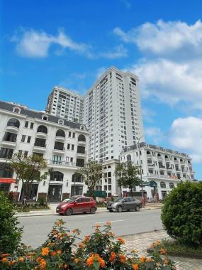 Bán chung cư TSG 25 tầng view nhìn trực diện Vinhomes Riverside giá siêu đẹp chỉ từ 23,8tr/m2