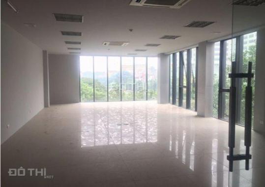 Cho thuê văn phòng ngõ 91 Trần Quang Diệu, DT 75m2 x 4T, MT 5m, nhà mới, có thang máy, ô tô đỗ cửa