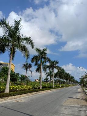 Bán 250m2 đất mặt tiền đường Hàng Dừa (29/3), Hòa Xuân, vị trí đẹp giá bán 10 tỷ