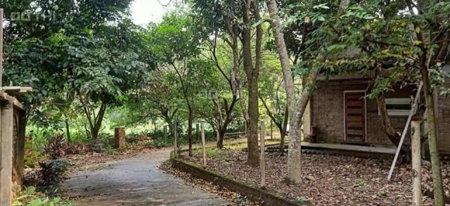 Nhà vườn Vân Hòa, Ba Vì giá hơn 1 tỷ sở hữu cả nhà lẫn vườn, vườn cây, ao cá. LH 0968641493
