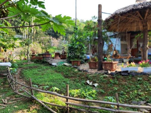 Bán 5000m2 nghỉ dưỡng nhà vườn đẹp như tranh giá rẻ tại Tiến Xuân, Thạch Thất, Hà Nội