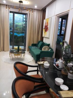 Bán căn hộ D - Homme, MT Hồng Bàng Quận 6, vị trí đắc địa, thanh toán 30% nhận nhà