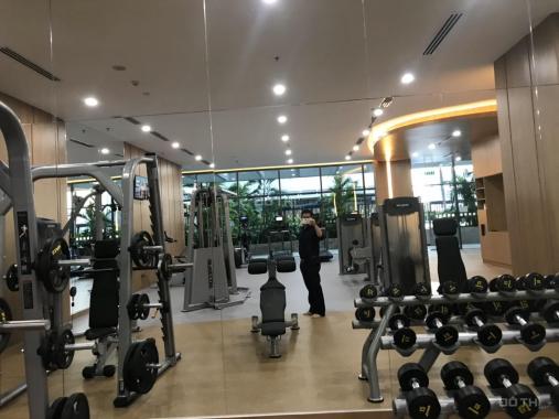 Bán căn hộ Republic Plaza DT 50.6m2, 1PN, view sân bay, hồ bơi, full NT vào ở ngay, giá 2,35 tỷ