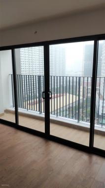 Bán các căn hộ 2,3, 4PN chung cư Amber Riverside view sông Hồng thông với Times City