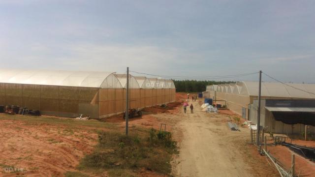 Bán đất trồng trọt canh tác có sổ đỏ riêng tại Bình Thuận
