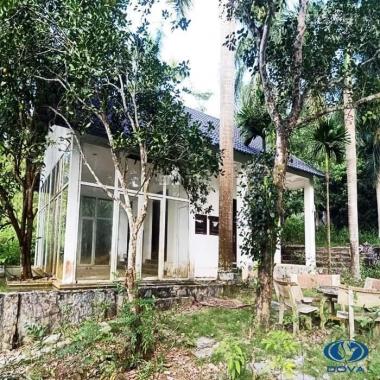 Cực hiếm khuôn viên nghỉ dưỡng 9000m2 ở Lương Sơn, Hòa Bình giá rẻ