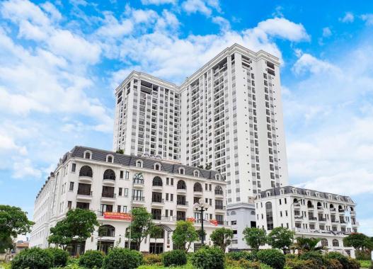 Căn hộ cao cấp đầy đủ tiện nghi trung tâm quận Long Biên, nhận nhà tháng 5/2020 giá từ 23,8 tr/m2
