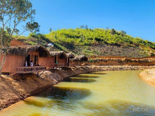Trang trại sinh thái sầu riêng tại Lâm Đồng chỉ từ 600tr. LH: Lan Anh 0906947978