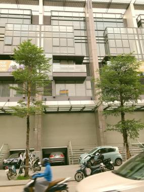 Hàng hiếm! Bán nhà mặt phố Hào Nam 145m2 x 5 tầng