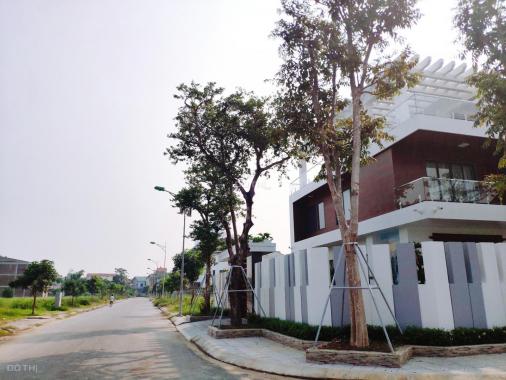 Bán đất nền dự án tại dự án khu đô thị Nam Lê Lợi, Vinh, Nghệ An, diện tích 466m2