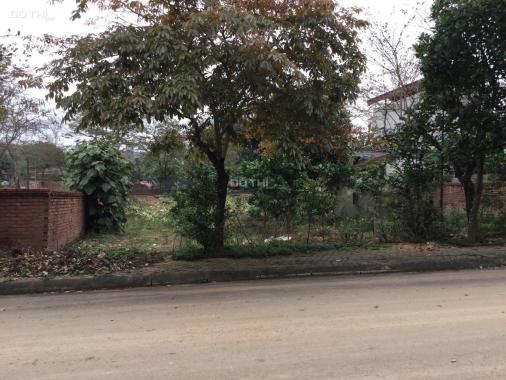 Bán lô đất đường nhựa 100m2 trong khu tái định cư Phú Cát - Hòa Lạc