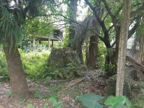 Bán 1700m2 đất nghỉ dưỡng sẵn khuôn viên tại Phú Mãn - Quốc Oai. Giá đầu tư (lh: 0983 100 636)
