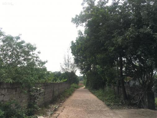 Bán mảnh đất dân bám mặt đường Xích Thổ, xã Thống Nhất, Hoành Bồ. Giá 2,7tr/m2
