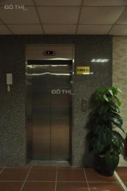 Bán tòa chung cư mini ở Đông Anh 227m2, xây 9 tầng thang máy, lợi nhuận 150tr/tháng