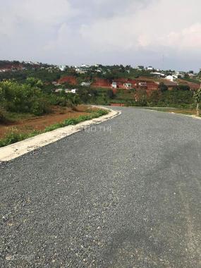 Bán đất tại đường Mạc Đĩnh Chi, Phường 2, Bảo Lộc, Lâm Đồng, diện tích 150m2, giá 675 triệu