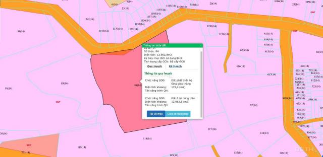 Cần tiền bán hơn 1.2ha gần UBND Tân Vĩnh Hiệp, SHR, lên thổ cư 100% 100m2 mặt tiền, LH 0901808686