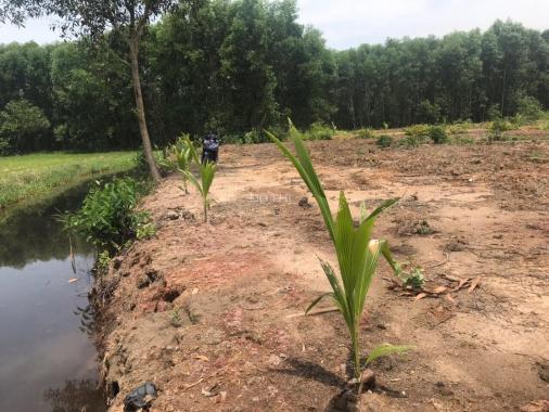 Cần sang lại lô đất vườn xã Phú Đông cho anh chị nào có nhu cầu làm nhà vườn nghỉ dưỡng