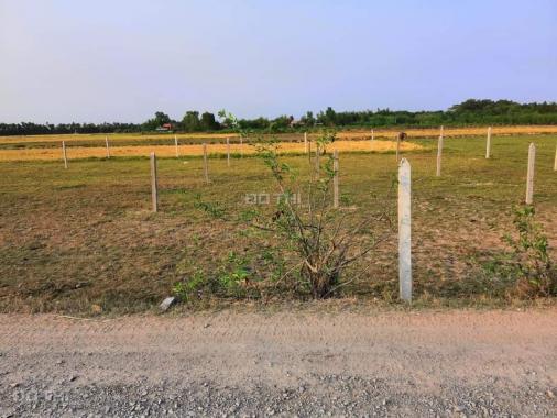 Bán đất sổ hồng riêng giá rẻ xã Tân Phú Trung, Huyện Củ Chi. DT 10000m2