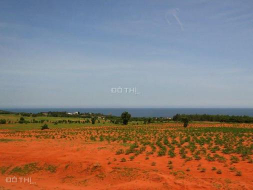 Cần bán lô đất Bình Thuận 4000 m2, giá 230 triệu