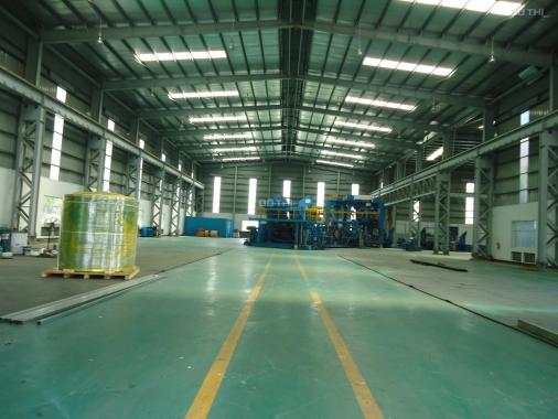 Công ty Khang Ninh Group cho thuê: Kho bãi, đất xưởng, với DT: 200m2 - 500m2 - 1.000m2 - 2.000m2