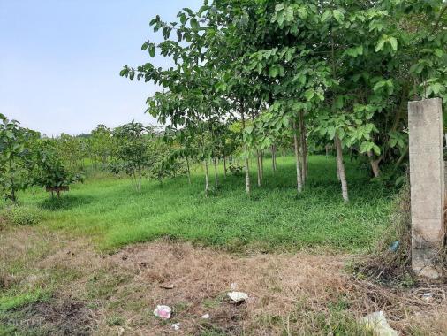 Cần bán 115m2 đất trọn sổ hồng riêng giá chỉ 370 triệu đồng Vĩnh Thanh, Nhơn Trạch