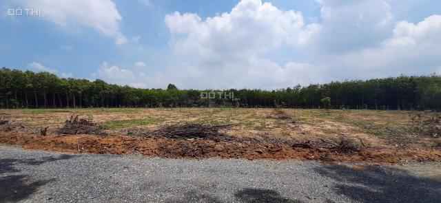 Chính chủ bán đất gần sân bay Long Thành 1,3 sào CLN + ONT sổ riêng cạnh KCN xã Phước Bình giá rẻ