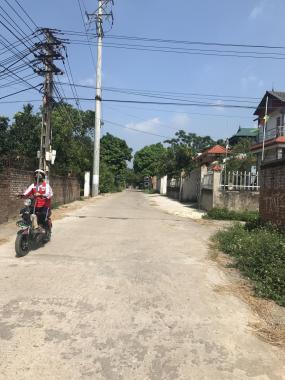 Bán 100m2 đất Thanh Trí, Minh Phú, Sóc Sơn, đường ô tô, gần chợ, trường học