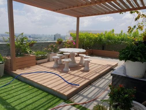 0949333811 bán penthouse Riverpark Phú Mỹ Hưng giá cực hot 32.5 tỷ, DTSD 530m2