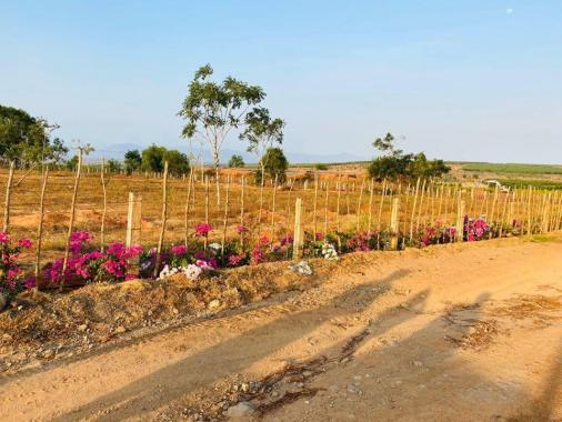 Đất vườn tại Bình Thuận, giá chỉ từ 50 nghìn/m2, đã có sổ ngay 100% đất sạch, sát bên Quốc Lộ 1A