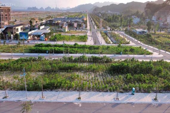 Bán đất nền Vân Đồn, Quảng Ninh, gần vịnh Bái Tử Long chỉ cần TT 880 triệu, 0981979687