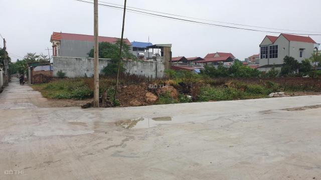 Bán đất tại đường 131, Xã Quang Tiến, Sóc Sơn, Hà Nội diện tích 125m2, giá 8 triệu/m2