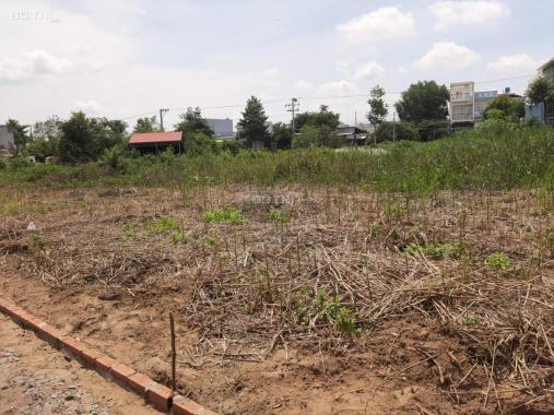 Chính chủ cần bán đất nền tại trung tâm thị trấn Cần Giuộc, SHR, thổ 100% giá chỉ 800 triệu
