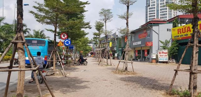 Bán nhà mặt phố tại Đường Bưởi, Phường Vĩnh Phúc, Ba Đình, Hà Nội diện tích 150m2, giá 28 tỷ