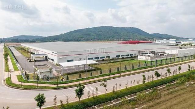 Chuyên BDS công nghiệp, kho xưởng cho thuê tại Bắc Ninh, nguồn tốt nhất thị trường
