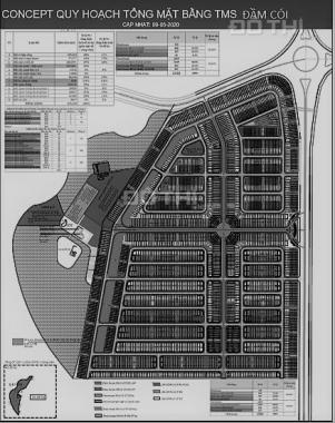 TMS Đầm Cói Vĩnh Yên - Nhận cọc chính thức liền kề - Shophouse - Biệt thự. Trực tiếp TMS Group