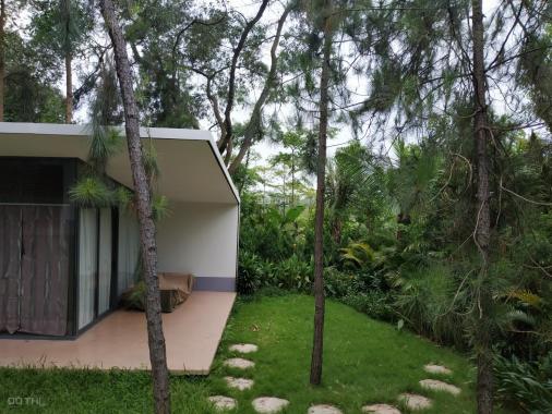 Bán nhà biệt thự H. 06 tại dự án Flamingo Đại Lải Resort, Phúc Yên, Vĩnh Phúc, DT 140m2