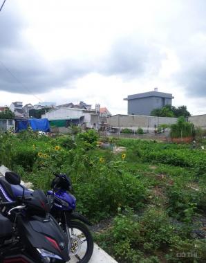 Bán đất khu phố 1, phường Tân Hiệp, diện tích 4x17m sổ hồng thổ cư