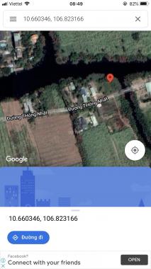 Chị tôi bán mảnh đất vườn giáp với 2 mặt sông lớn, có cây ăn Trái Xoài, Dừa Xiêm, Thăng Long
