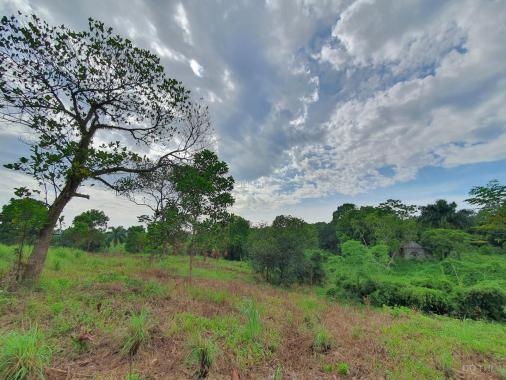 Bán đất làm homestay, nhà vườn tuyệt đẹp tại Lương Sơn, Hòa Bình diện tích 9575m2