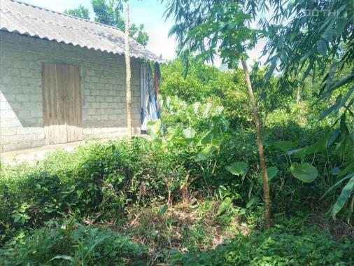 Bán đất thổ cư rẻ đẹp tại Lương Sơn, Hòa Bình diện tích 5900m2