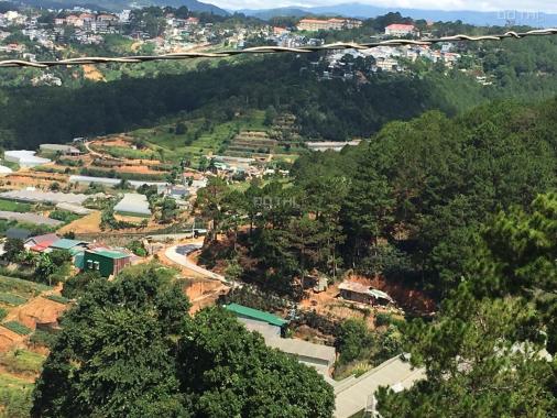 Bán đất nền thành phố Đà Lạt (Giá thương lượng)
