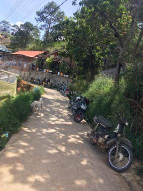 Bán đất nền thành phố Đà Lạt (Giá thương lượng)